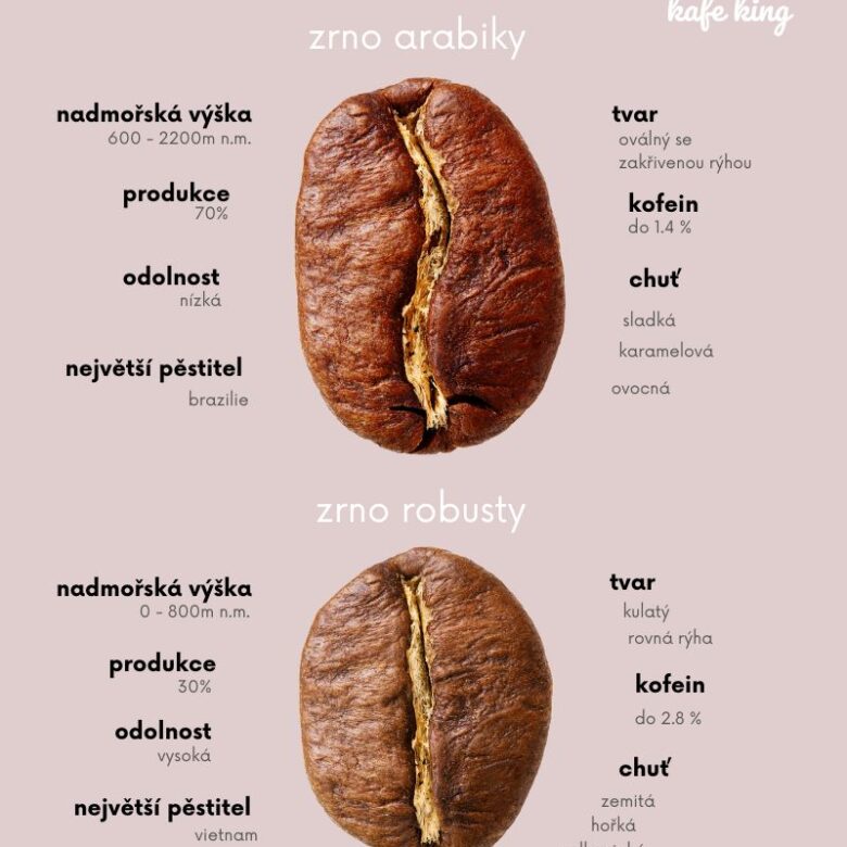 infograafika arabika vs robusta